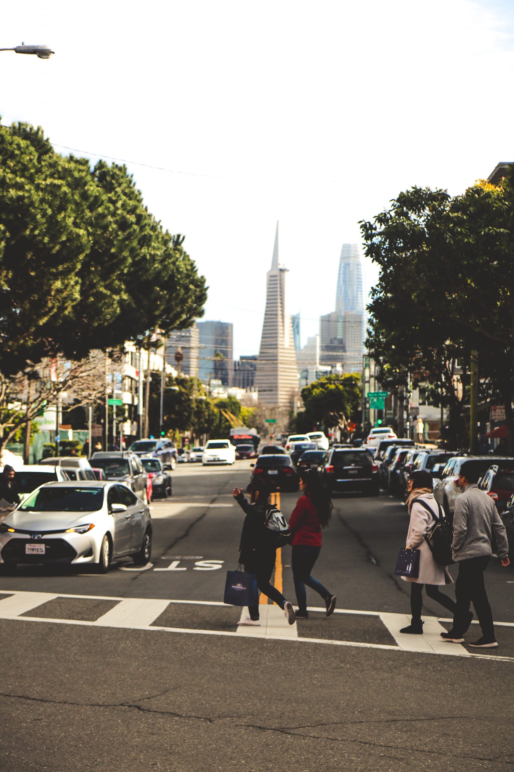 Finding the Right WordPress Design and Development Agency